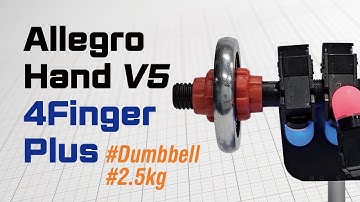 Allegro Hand V5 Plus (4F) | Pick & Place Demonstration – Dumbbell
