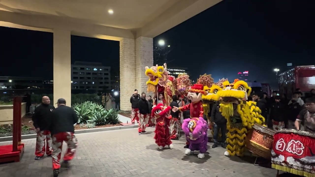 Chinese new year performance by Leung's White Crane Dragon & Lion Dance Association