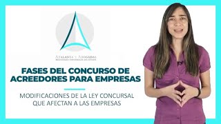 Fases Del Concurso De Acreedores Para Empresas Aplicación De La Ley Concursal A Empresas