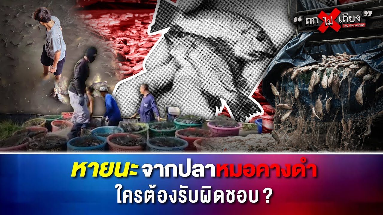 หายนะจากปลาหมอคางดำ ใครต้องรับผิดชอบ ?
