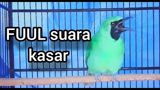 Download Mp3 Pancingan ijo malas bunyi#PANCINGANIJOMALASBUNYI# Gudang lagu Download Mp3 Pancingan ijo malas bunyi#PANCINGANIJOMALASBUNYI#