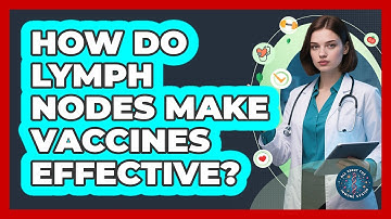 How Do Lymph Nodes Make Vaccines Effective? - All About the Immune System