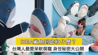 IKEA鯊魚到底紅什麼？ 台灣人最愛呆軟萌寵 身世秘密大公開