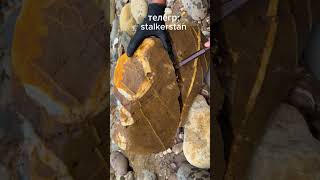 STALKER Золотоискатель на реке Припять