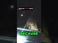 Officer Arrests Driver for DWI