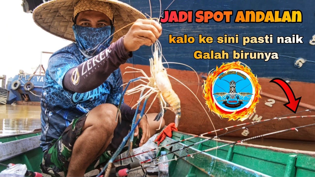 Mancing udang di samping kapal ponton ‼️ Sarang udang galah #mancingudanggalah #fishing #mancing 