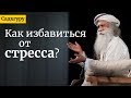 Как избавиться от стресса? Садхгуру