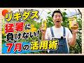 【リキダス】猛暑に負けない!7月の活用術【ハイポネックス】