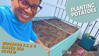 Setting up HUGE New WorkPro Raised Bed & Planting Potatoes