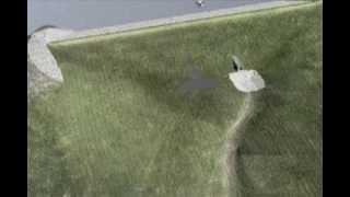 Piping Failures At Dams