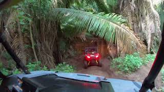 Jungle Adventure