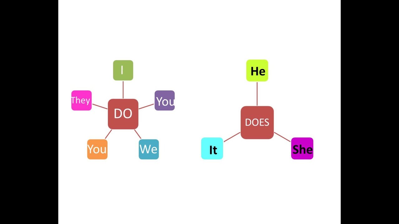 Word wall do does — ImgHub.ru