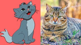 Pets Learn The Names Of Pets For Children