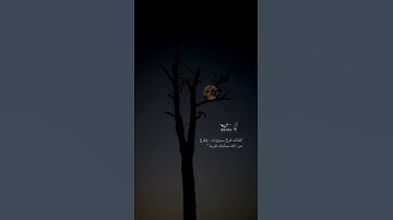 قرآن كريم - حالات واتس اب دينية - تلاوه تريح القلب 🕊🖤