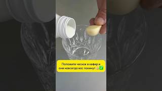 🧄🥛 Добавь чеснок в кефир — и твой организм скажет спасибо