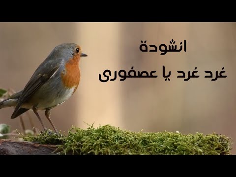 أنشودة الأطفال غرد غرد يا عصفوري