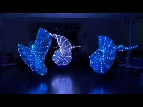 LED Isis Wings Bellydance Making The Darkest Night Glorious
