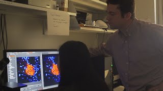 "What I Love Most About the Job is the Discovery Process."
