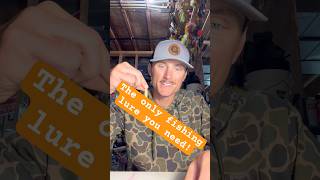 The best fishing lure ever?! #fishinglures #fishing #fishingtips #bass #walleye #perch #shorts