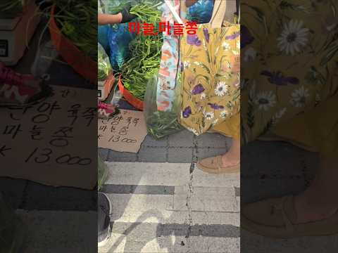 마늘1단2만원,단양육쪽마늘쫑 1키로 만 3천원 #충주5일장