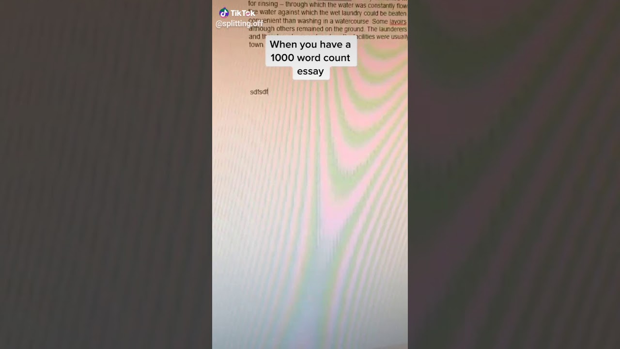 1000 word essay counter