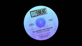 The Brand New Heavies – Dream On Dreamer