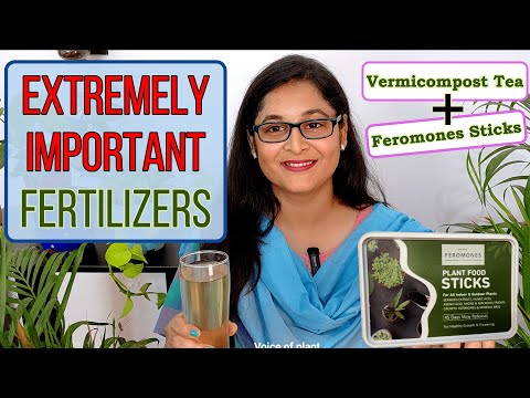 🔴 Vermicompost Tea  & FEROMONES STICK वर्मीकम्पोस्ट खाद #vermicompost #gardening #fertilizer