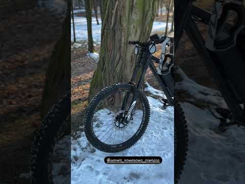 Bolt Ebike 2000