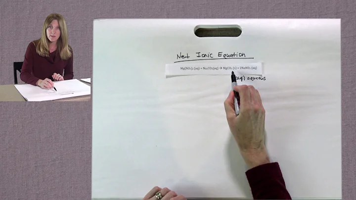 Jennifer Waldner explains how to do a Net Ionic Eq...