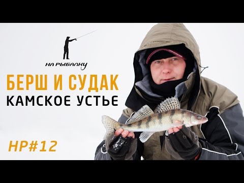 Ловля берша и судака на Камском Устье: НР#12