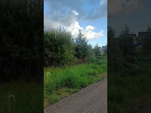 Поселок Honkaniemi (ДНП