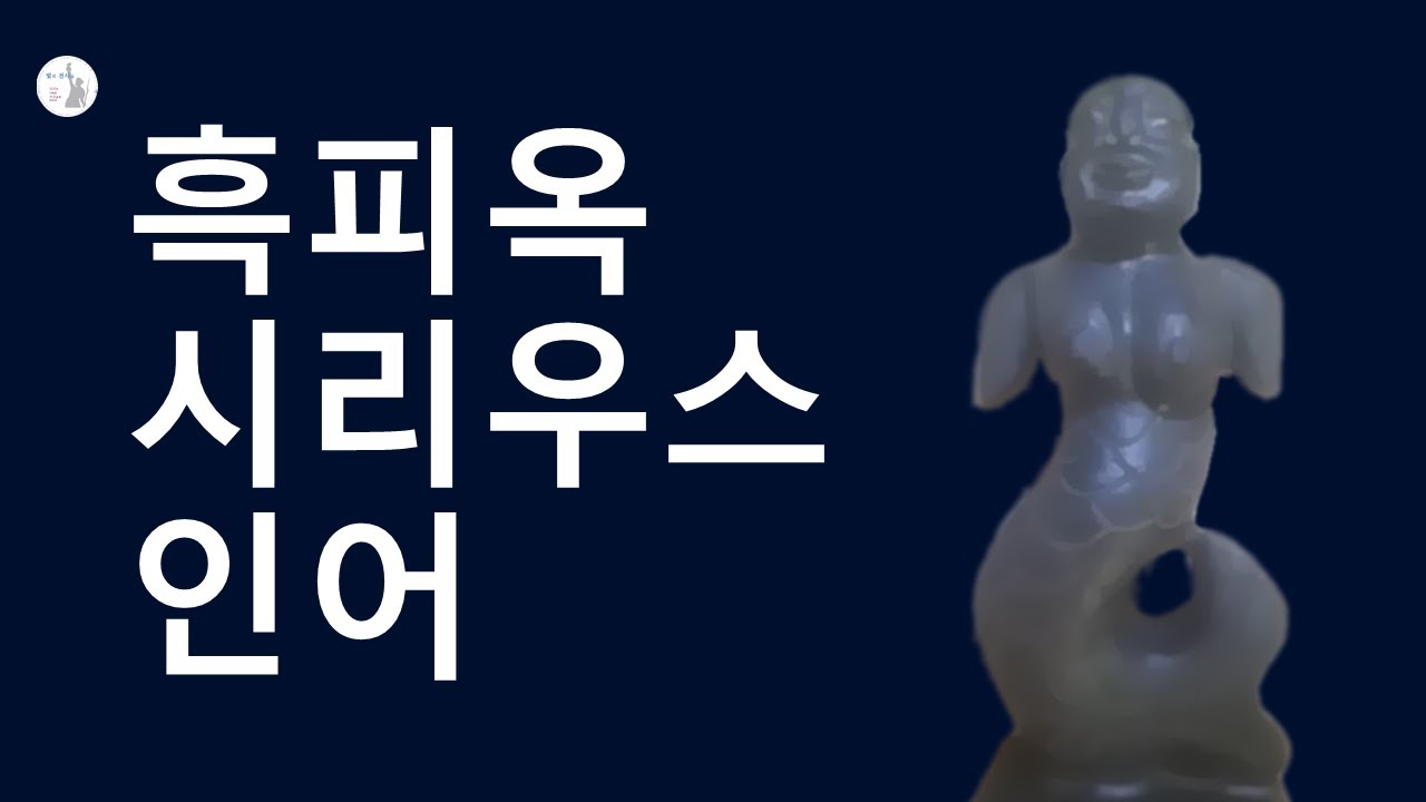 흑피옥시리우스인 인어 — Transcript