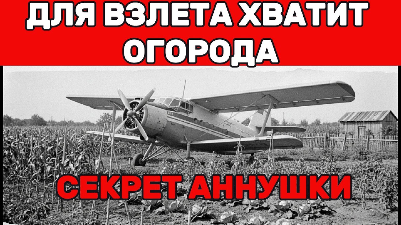 Ан-2: Самолёт, на котором летали твои дед, отец и ты. И внук полетит