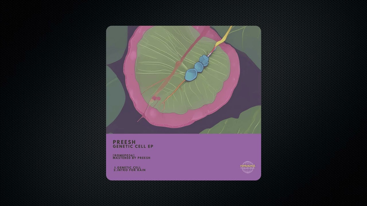 Preesh - Intro For Rain [ROMEP036]