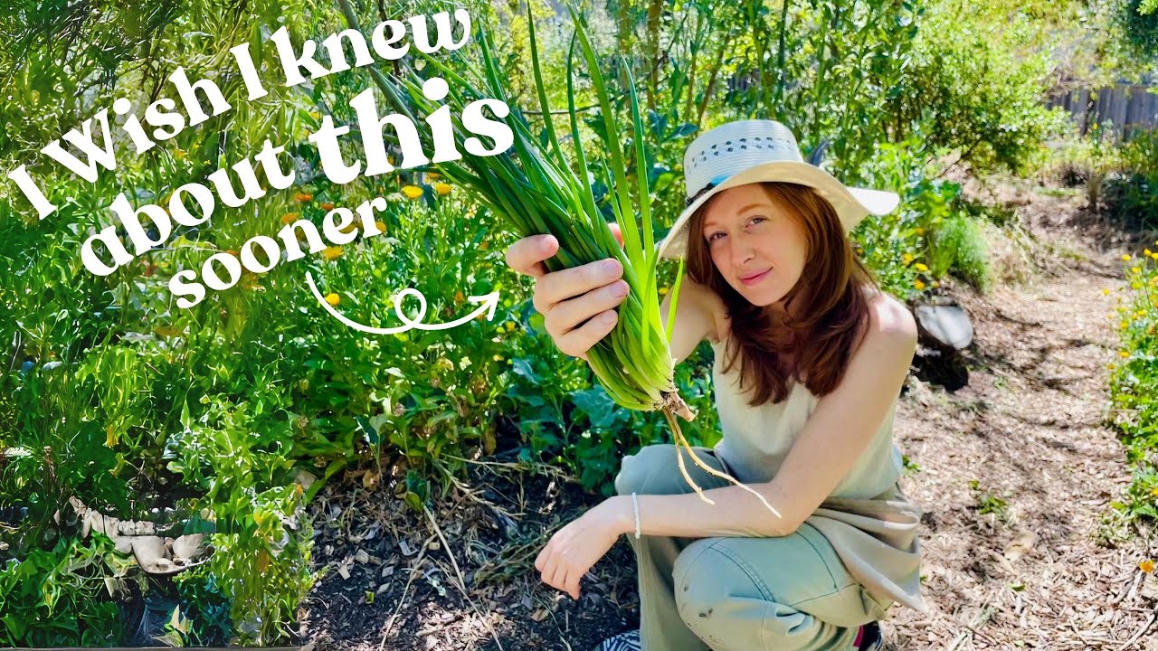 5 Years Into Our Food Forest - What I Wish I Knew About Woodchips