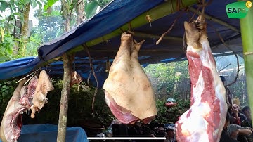 SAPA TV | ẨM THỰC CHỢ PHIÊN Y TÝ TOÀN MÓN NGON KHÔNG THỂ CƯỠNG NỔI