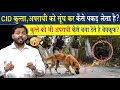 क त त स घकर क स भ अपर ध क क स पकड ल त ह How Does A Dog Catch Criminal By Smelling