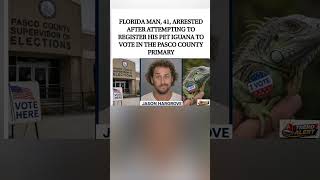 Florida man arrested after iguana voting registration stunt. 🦎🗳️#shortvideo #viral #funny #trending