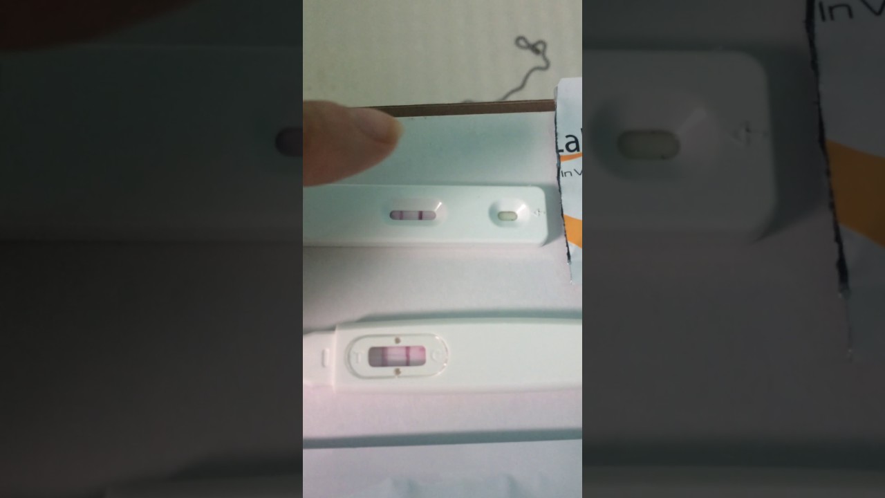 Live ovulation and pregnancy test - YouTube