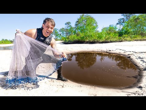 Cast Netting TINY PUDDLE for fish to EAT!! (UNEXPECTED Catch Clean Cook)