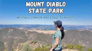Bay Area Hike: Mitchell Canyon/ Eagle Peak Loop (Mount Diablo State Park)