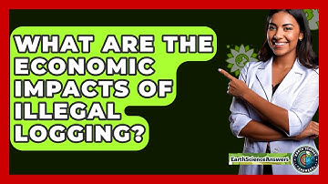 What Are The Economic Impacts Of Illegal Logging? - Earth Science Answers