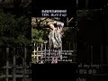 망설임까지 불태워버려 | TEN - Burn It Up [가사/자막/해석/번역] #TEN #텐 #เตนล์ #李永钦 #テン #wayv #威神V #burnitup #humanity