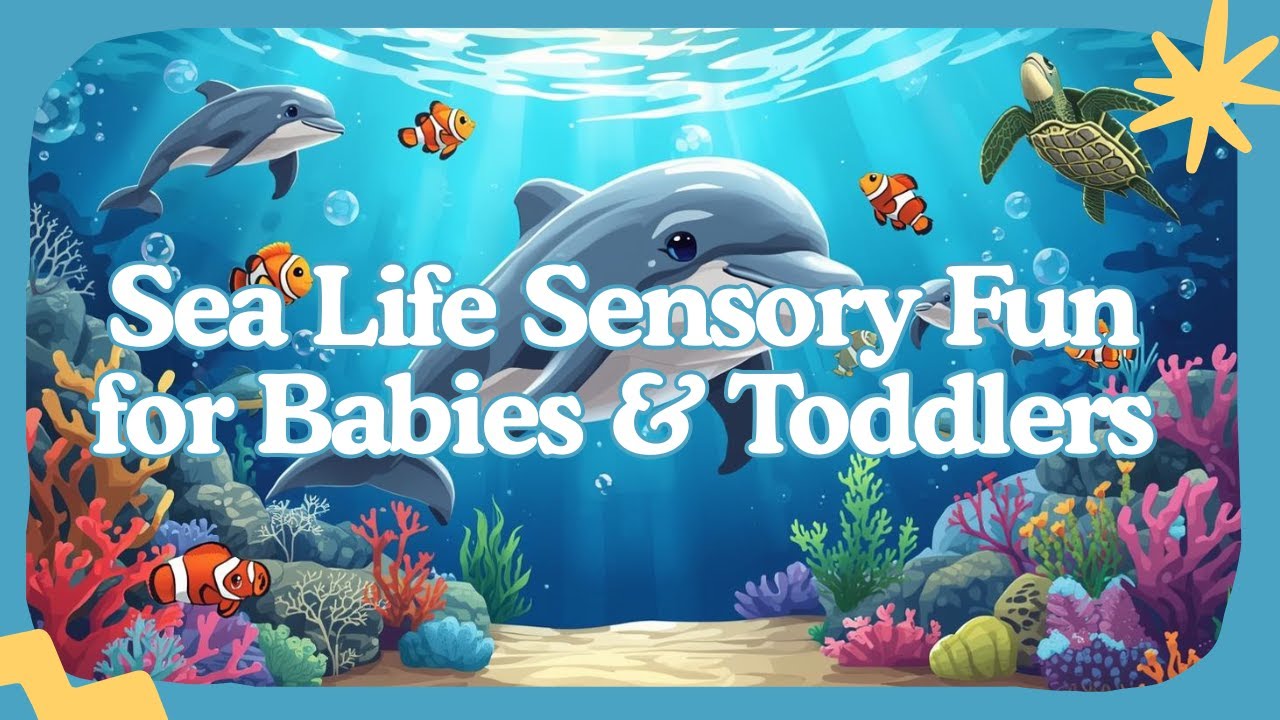 Sensory for Babies and Toddlers | Sea Life Relaxing Baby Sensory Ocean Visuals
