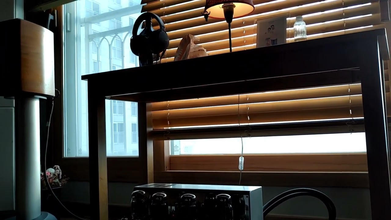 Gold Lion KT88 / Flash of Light