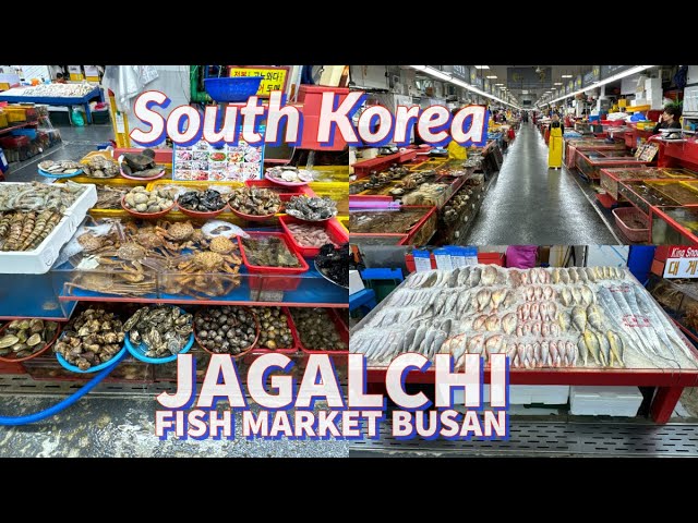 Vika Bonya butunlay yalangoch