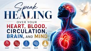 A Declaration of Healing Over Your Heart, Blood, Circulation, Brain, and Mind