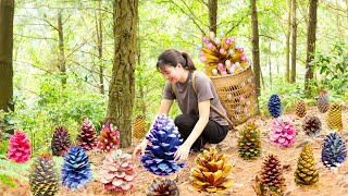 Harvesting Pine Cone & Make decorations from dried Pine Cones Goes to the market sell