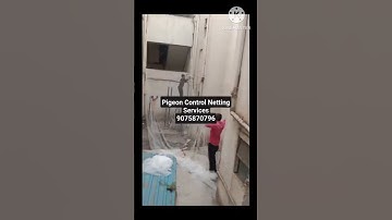 A One Bird Netting Services Pune . 9075870796 Call or message for services. #birdnetting #birdnet ..