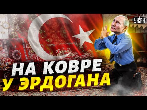 Путин на ковре у Эрдогана. Турция спасает Россию? Оценка Шейтельмана